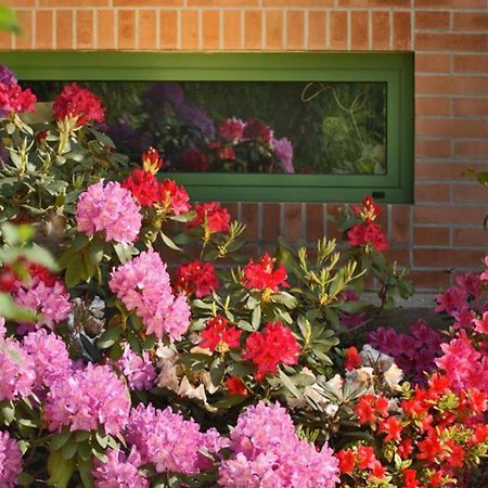 Villa Delle Ortensie Tavagnacco Eksteriør bilde